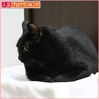 おひっこし_a0389088_17552481.jpg