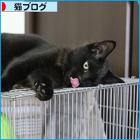 山からの贈り物(2)_a0389088_17554114.jpg