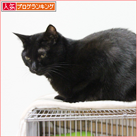 おけつ萌え_a0389088_17554825.jpg