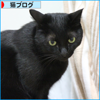 おけつ萌え_a0389088_17554834.jpg