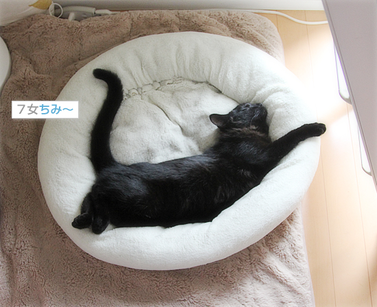 おけつ萌え_a0389088_17554888.jpg