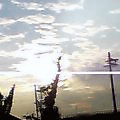 誰もが、気づかぬうちに(あいちゃん追悼ウィーク)_a0389088_17561131.gif