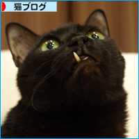 誰もが、気づかぬうちに(あいちゃん追悼ウィーク)_a0389088_17561245.jpg