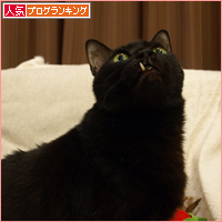 誰もが、気づかぬうちに(あいちゃん追悼ウィーク)_a0389088_17561283.jpg