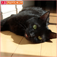 幸福(あいちゃん追悼ウィーク)_a0389088_17561579.jpg