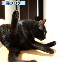 幸福(あいちゃん追悼ウィーク)_a0389088_17561588.jpg