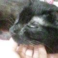 ちいさなチカラ(あいちゃん追悼ウィーク)_a0389088_17561666.jpg