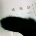 ちいさなチカラ(あいちゃん追悼ウィーク)_a0389088_17561697.jpg