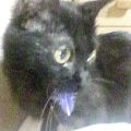 ちいさなチカラ(あいちゃん追悼ウィーク)_a0389088_17561701.jpg