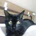 ちいさなチカラ(あいちゃん追悼ウィーク)_a0389088_17561704.jpg