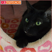 ちいさなチカラ(あいちゃん追悼ウィーク)_a0389088_17561736.jpg