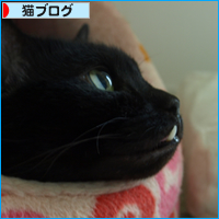 ちいさなチカラ(あいちゃん追悼ウィーク)_a0389088_17561782.jpg