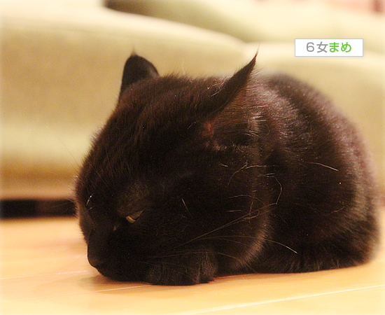 もうすぐだね_a0389088_17564113.jpg