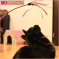 もうすぐだね_a0389088_17564170.jpg