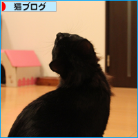 もうすぐだね_a0389088_17564178.jpg