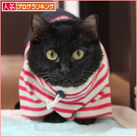 春夏コレクション_a0389088_17583826.jpg