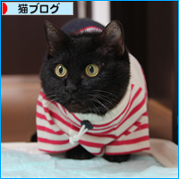 春夏コレクション_a0389088_17583870.jpg
