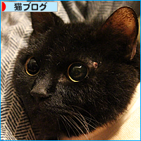 新たな流行_a0389088_17584033.jpg