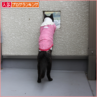 カイカイに奥の手_a0389088_17591035.jpg