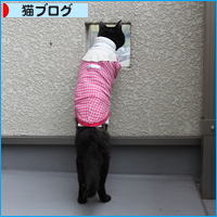 カイカイに奥の手_a0389088_17591143.jpg