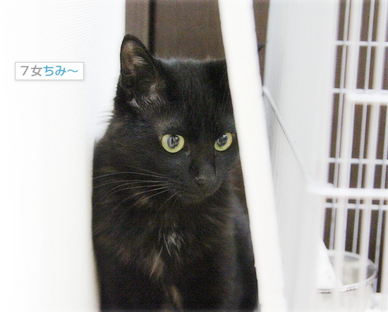 春のリス事情_a0389088_17591554.jpg