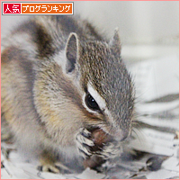 春のリス事情_a0389088_17591655.jpg