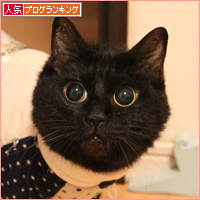 お姫様のいうがまま_a0389088_17592091.jpg