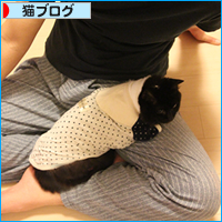 新らしいブーム_a0389088_17592105.jpg