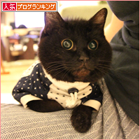 新らしいブーム_a0389088_17592147.jpg