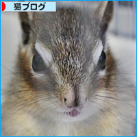 それぞれの春_a0389088_17592804.jpg