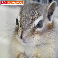 それぞれの春_a0389088_17592828.jpg