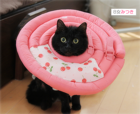 みつきの裏の顔_a0389088_17593139.jpg