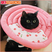 みつきの裏の顔_a0389088_17593231.jpg