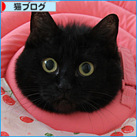 みつきの裏の顔_a0389088_17593255.jpg
