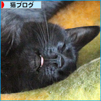 カラーなしスタート!_a0389088_17593928.jpg