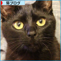 私を見て_a0389088_17594146.jpg