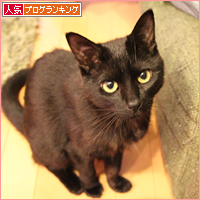 私を見て_a0389088_17594193.jpg