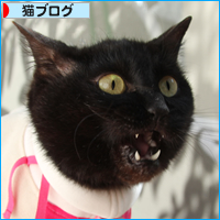 目には見えない大切なもの_a0389088_17594824.jpg