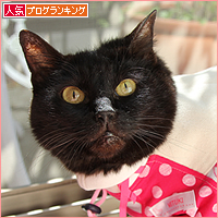 目には見えない大切なもの_a0389088_17594898.jpg