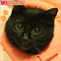 みつきの診断結果_a0389088_17595212.jpg