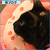 みつきの診断結果_a0389088_17595237.jpg