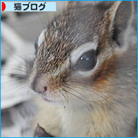 男の闘い_a0389088_17595338.jpg