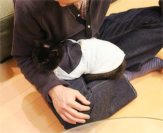 新しいオトウサン_a0389088_17595369.jpg
