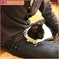 新しいオトウサン_a0389088_17595419.jpg