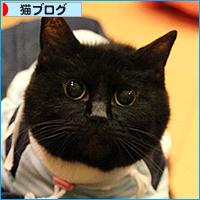 新しいオトウサン_a0389088_17595488.jpg