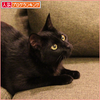 猫使いには、まだ早い_a0389088_17595767.jpg