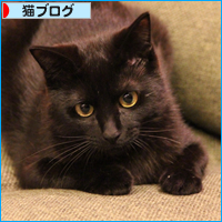 猫使いには、まだ早い_a0389088_17595770.jpg