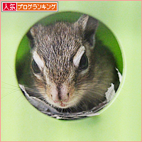 我が家のリス事情・ネコ事情_a0389088_18003956.jpg
