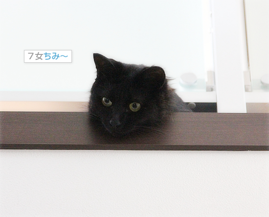 こわいという感情_a0389088_18012746.jpg