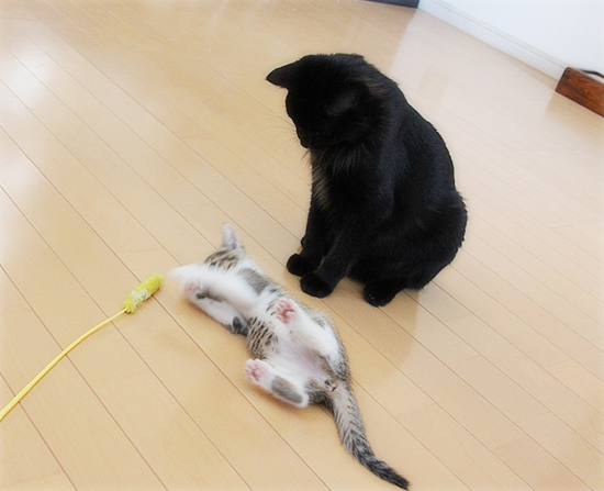 こわいという感情_a0389088_18012767.jpg